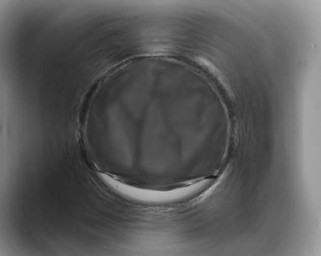 X0000088851449200707061024