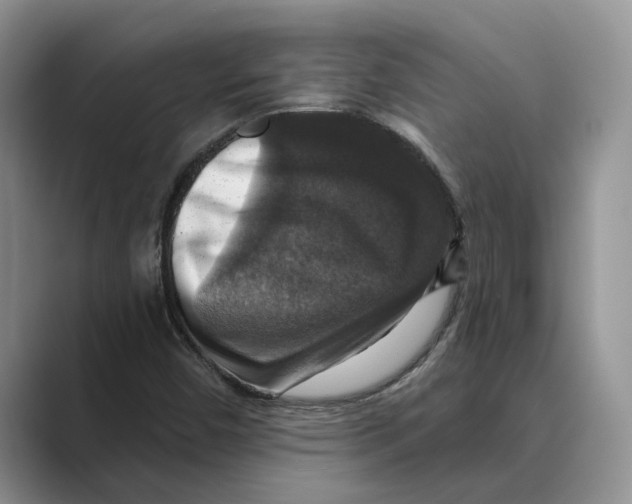 X0000088851450200707061024