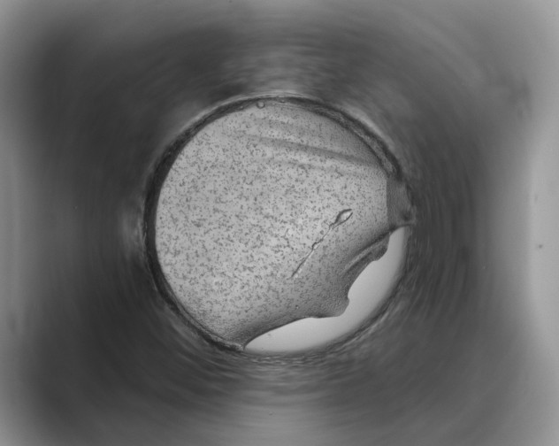 X0000088851452200707061024