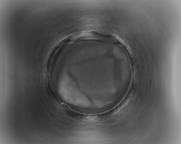 X0000088851453200707061024