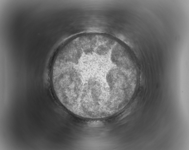 X0000088851454200707061024