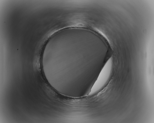 X0000088851455200707061024