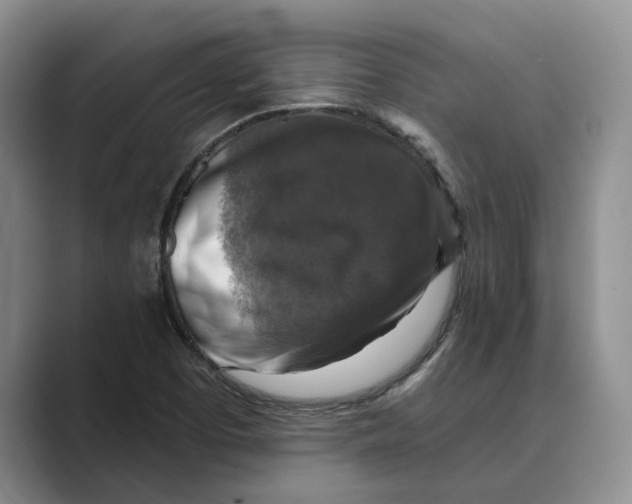 X0000088851457200707061024