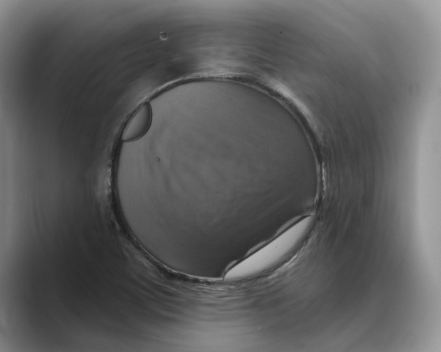 X0000088851459200707061024