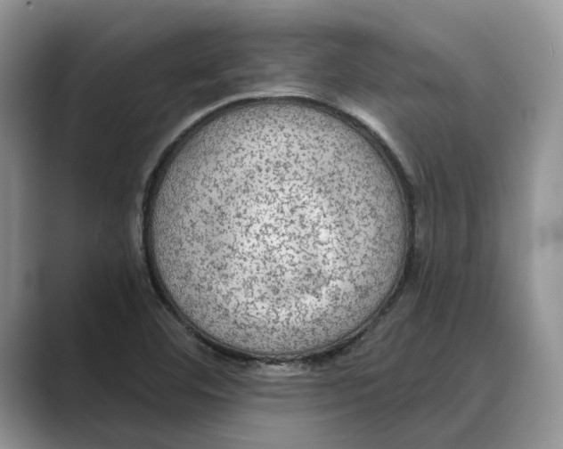 X0000088851460200707061024