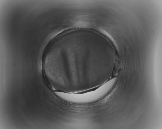 X0000088851461200707061024