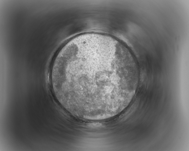 X0000088851462200707061024