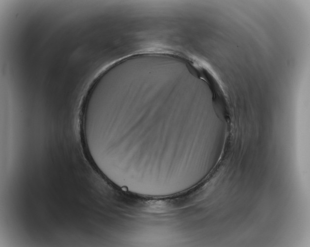 X0000088851463200707061024