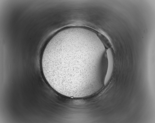 X0000088851464200707061024