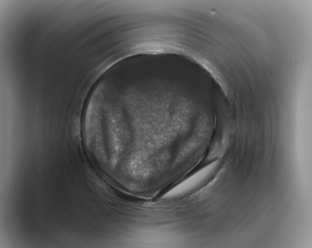 X0000088851465200707061024