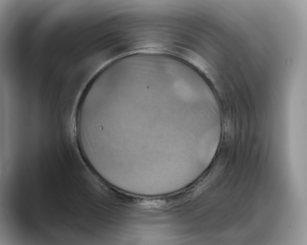 X0000088851466200707061024