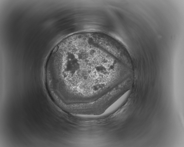 X0000088851467200707061024