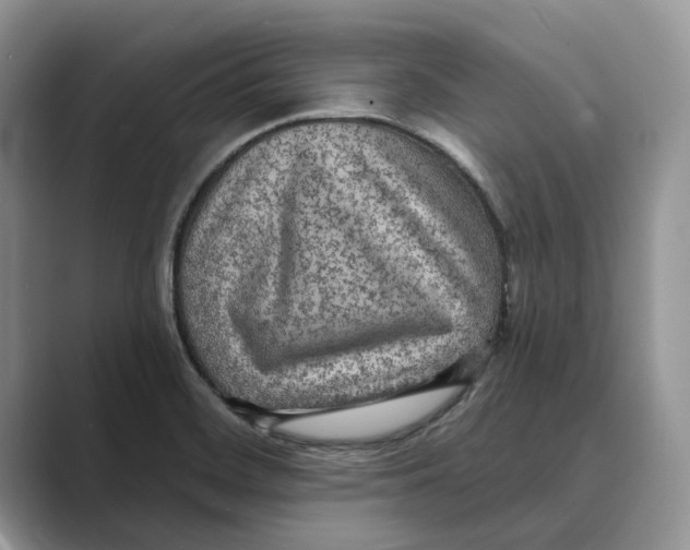 X0000088851468200707061024