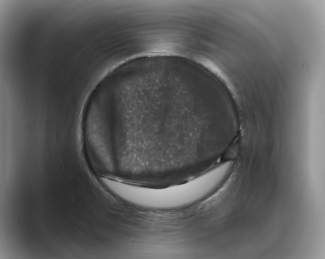 X0000088851469200707061024