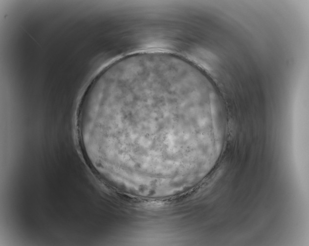 X0000088851470200707061024