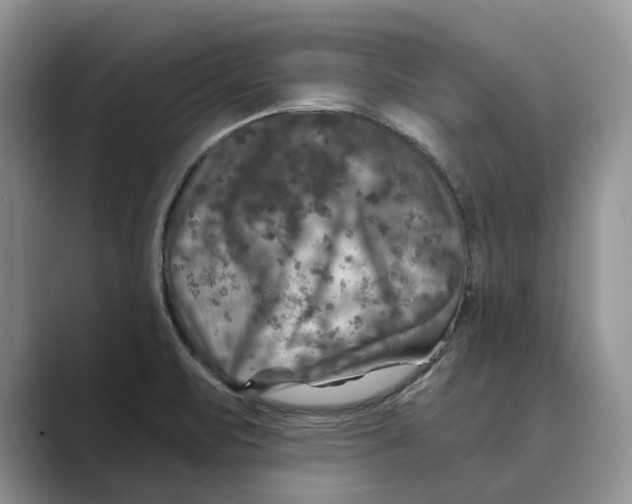 X0000088851471200707061024