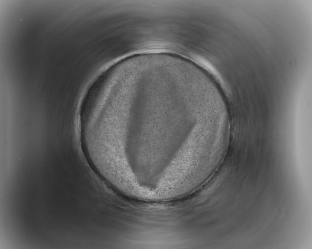 X0000088851472200707061024