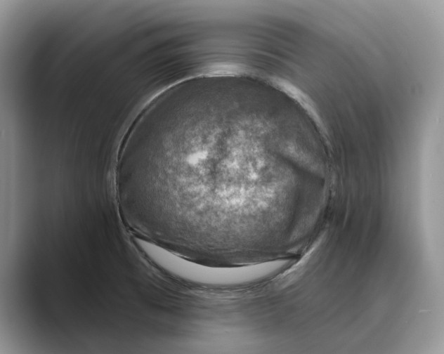 X0000088851473200707061024