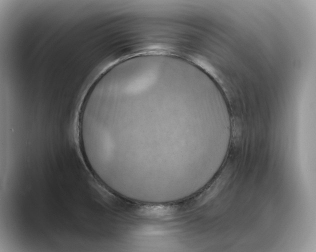 X0000088851474200707061024