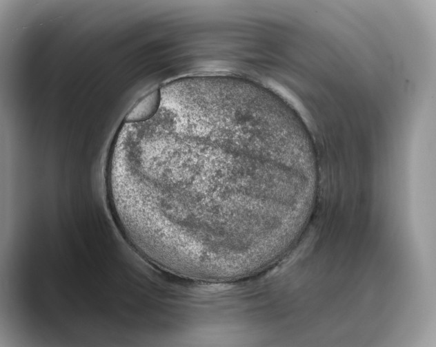 X0000088851475200707061024