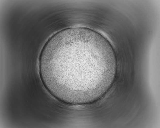 X0000088851476200707061024