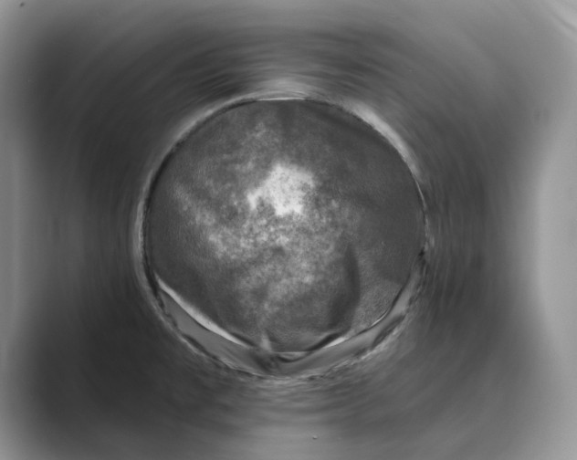 X0000088851477200707061024