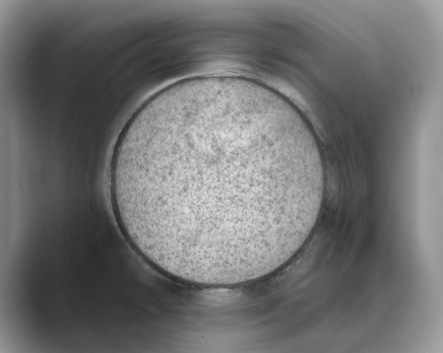 X0000088851478200707061024