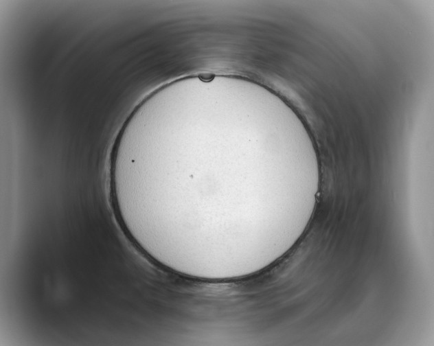 X0000088851479200707061024