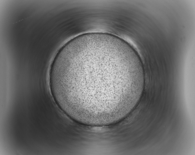 X0000088851480200707061024