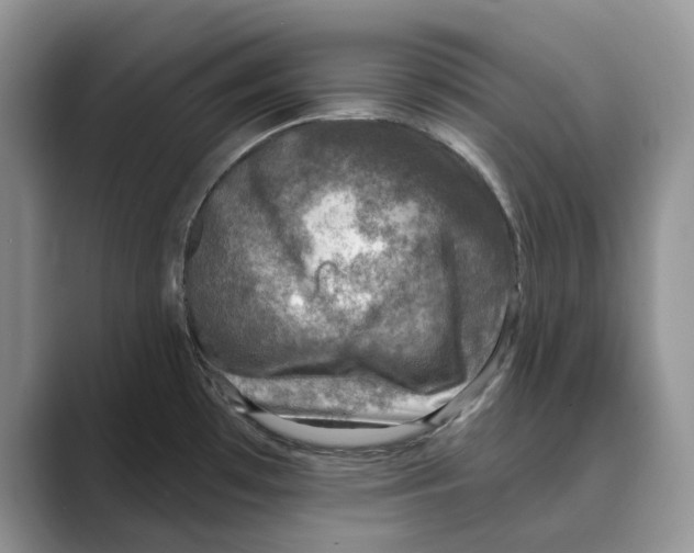 X0000088851481200707061024