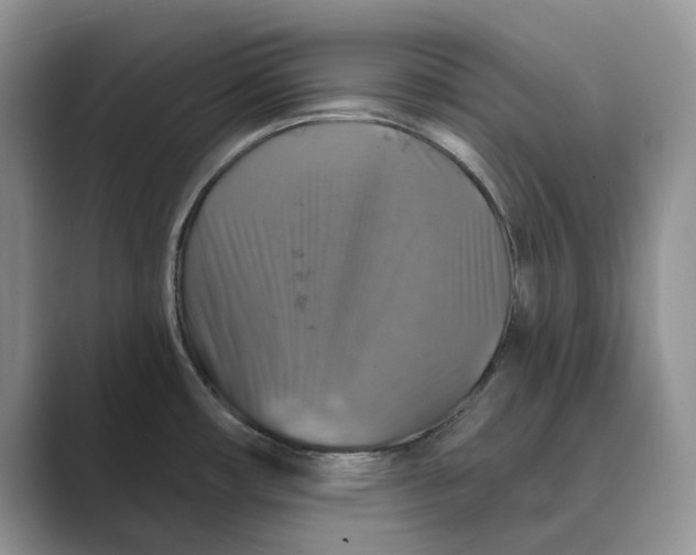 X0000088851482200707061024