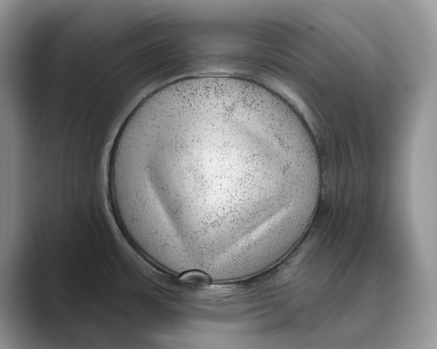 X0000088851483200707061024