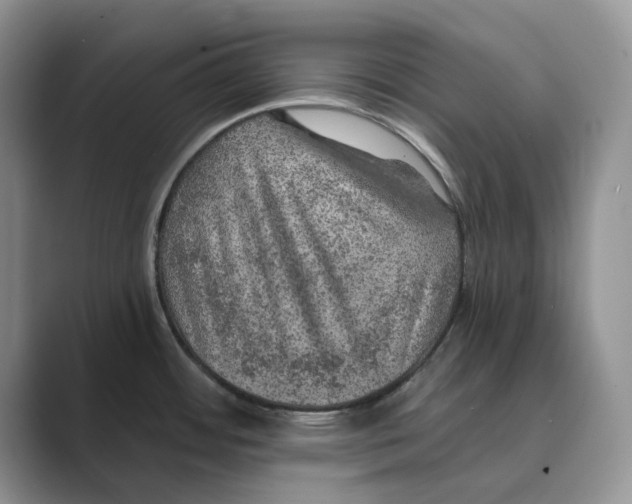 X0000088851484200707061024