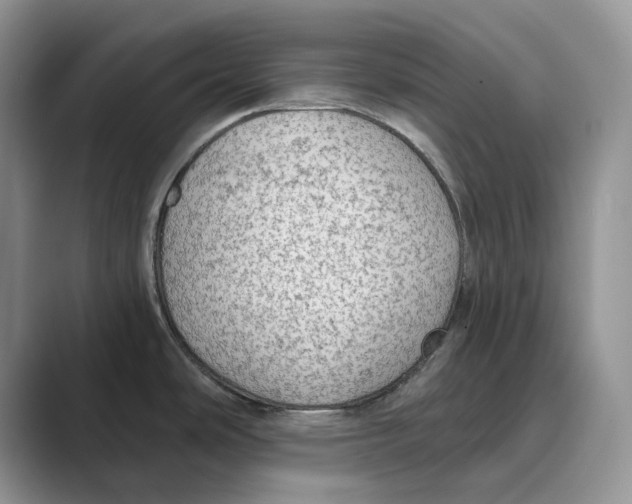 X0000088851486200707061024