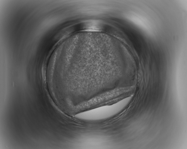 X0000088851487200707061024