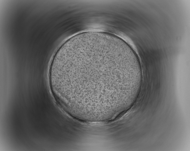 X0000088851488200707061024