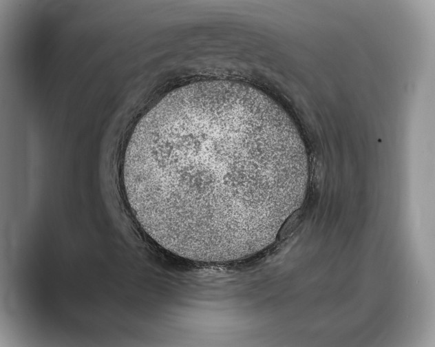 X0000088851489200707061023