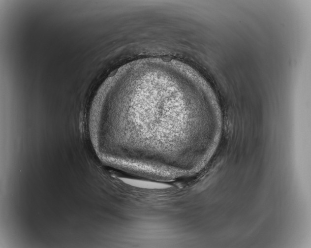 X0000088851490200707061023