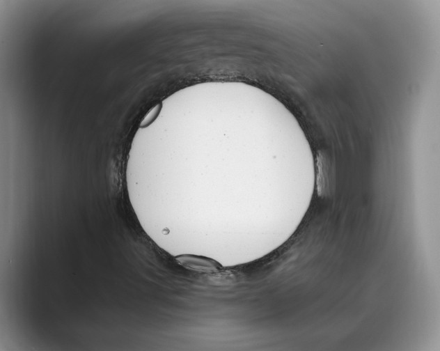 X0000088851491200707061023