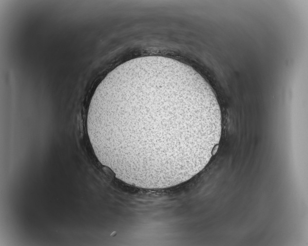 X0000088851493200707061023