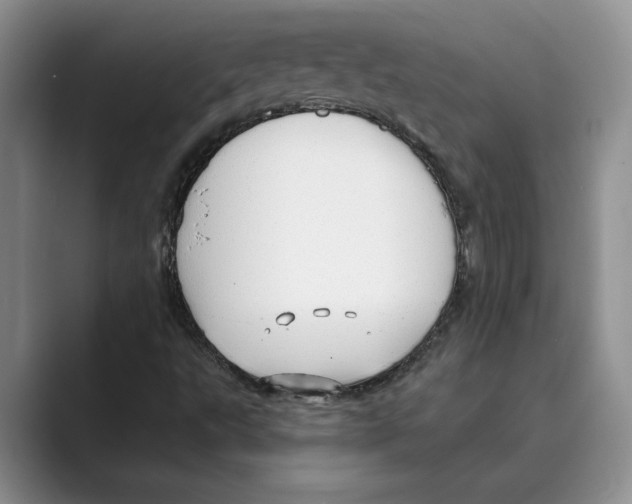 X0000088851495200707061023