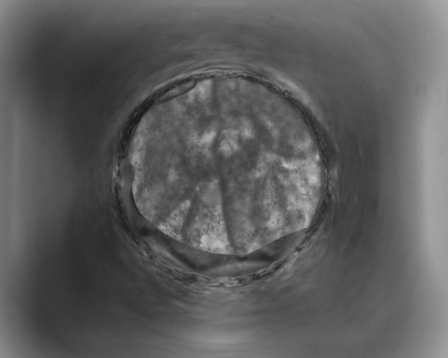 X0000088851496200707061023