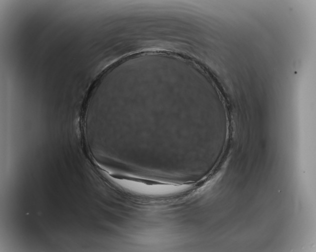 X0000088851497200707061023