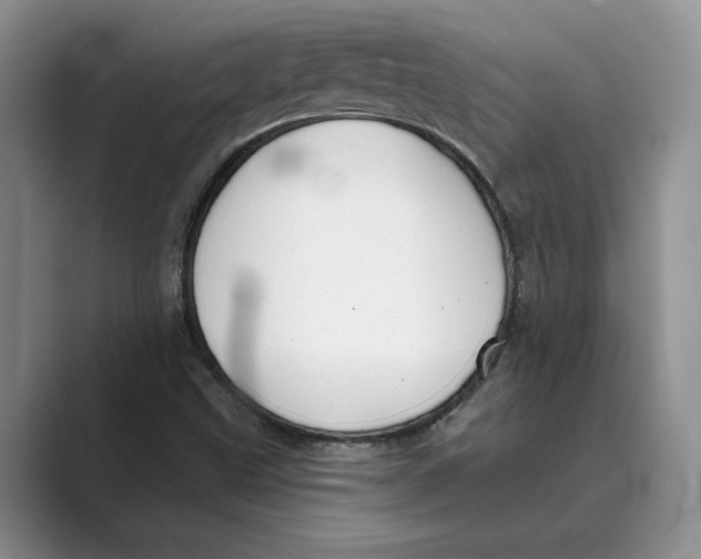 X0000088851499200707061023