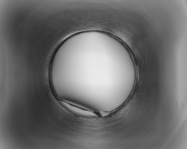 X0000088851500200707061023