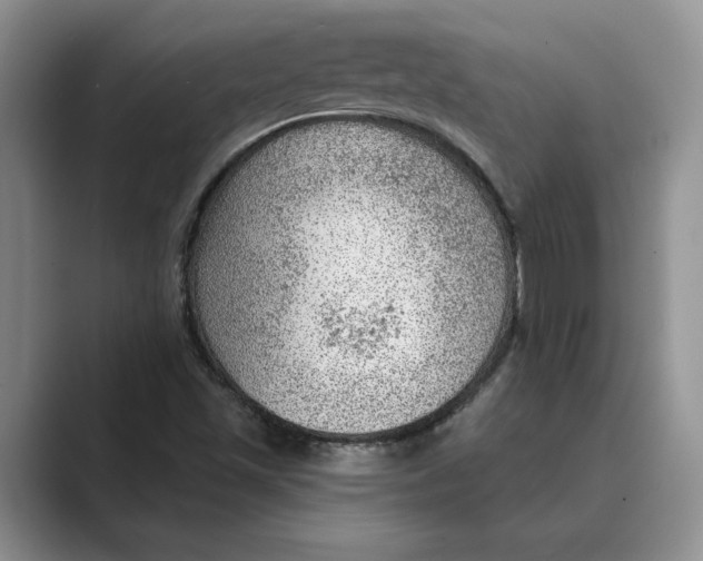 X0000088851501200707061023