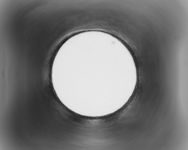 X0000088851502200707061023