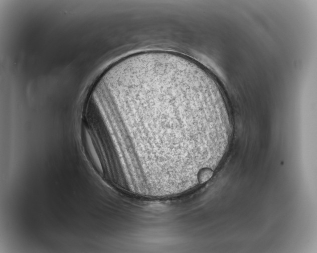 X0000088851504200707061023