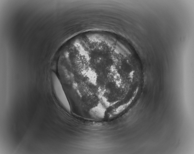 X0000088851505200707061023