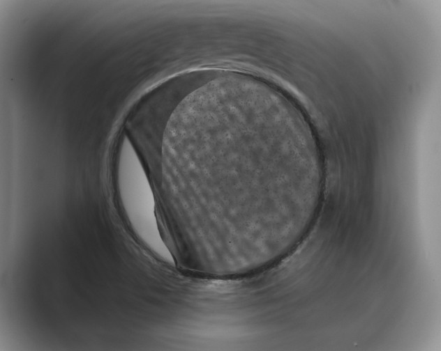 X0000088851506200707061023